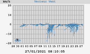 Wind Vector